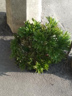 Прикрепленное изображение: IMG_20210428_180159.jpg